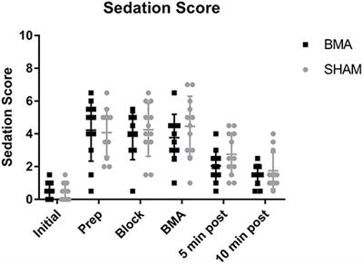 Bone Marrow Aspiration Does Not Induce a Measurable Pain Response Compared to Sham Procedure